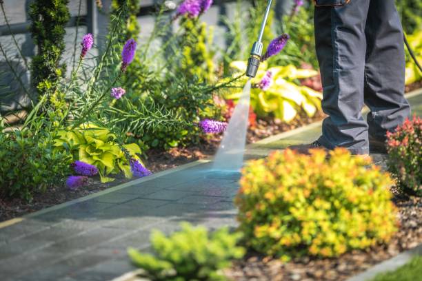 Best Pre-Holiday Cleaning  in St Helena, CA